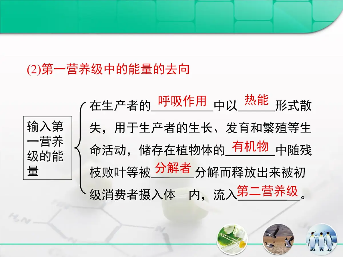 人教版 (新课标)高中生物必修3 5-2《生态系统的能量流动》课件第5页