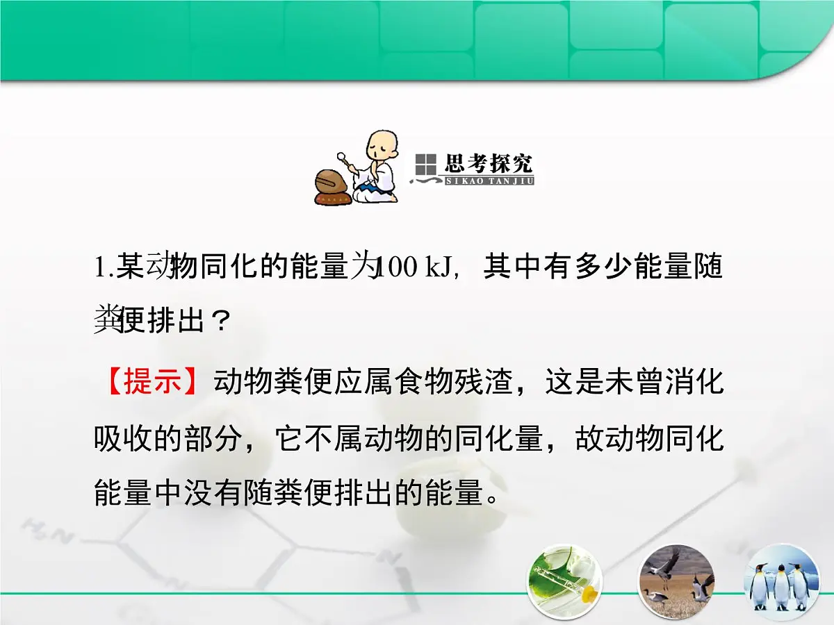 人教版 (新课标)高中生物必修3 5-2《生态系统的能量流动》课件第7页