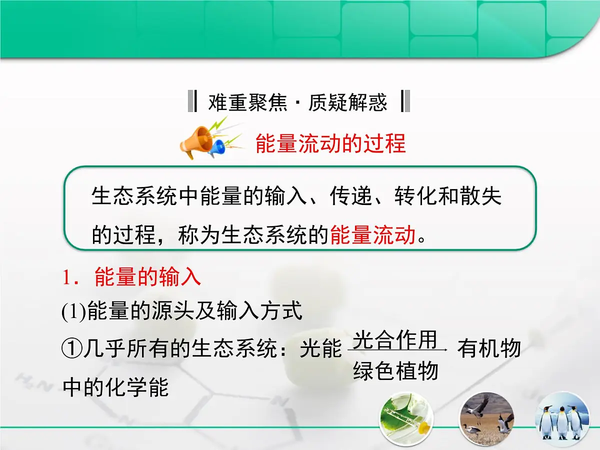 人教版 (新课标)高中生物必修3 5-2《生态系统的能量流动》课件第8页