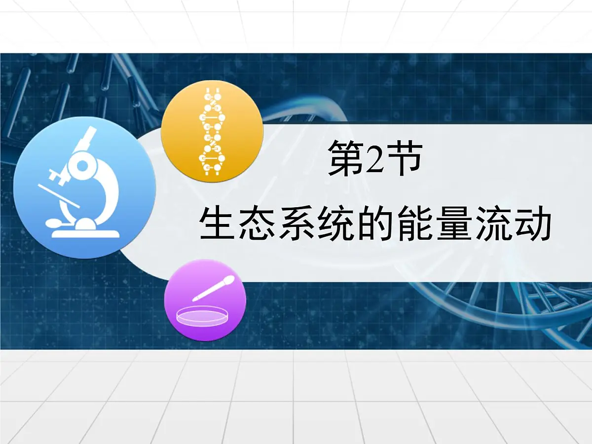 人教版 (新课标)高中生物必修3 5-2《生态系统的能量流动》课件第1页