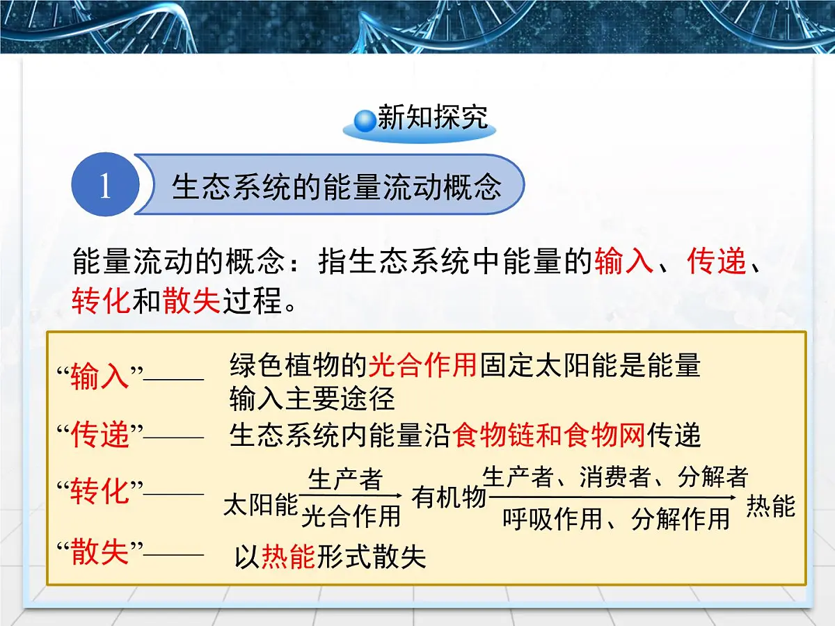 人教版 (新课标)高中生物必修3 5-2《生态系统的能量流动》课件第4页