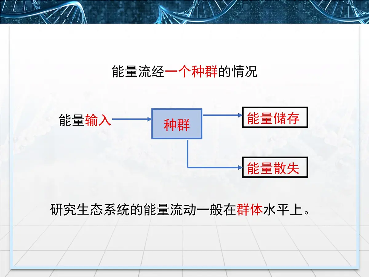人教版 (新课标)高中生物必修3 5-2《生态系统的能量流动》课件第5页