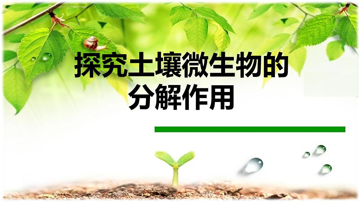 人教版 (新课标)高中生物必修3 5-3《生态系统的物质循环》(第2课时)课件第1页