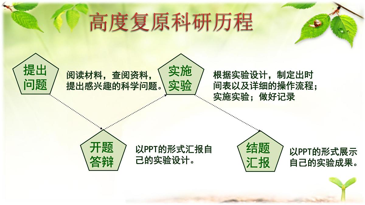 人教版 (新课标)高中生物必修3 5-3《生态系统的物质循环》(第2课时)课件第2页