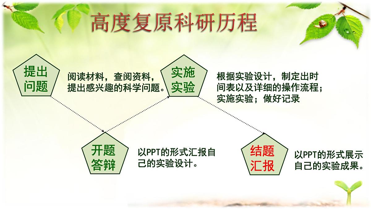 人教版 (新课标)高中生物必修3 5-3《生态系统的物质循环》(第2课时)课件第4页