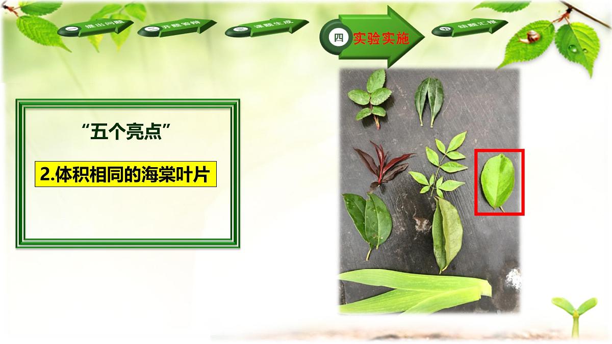 人教版 (新课标)高中生物必修3 5-3《生态系统的物质循环》(第2课时)课件第6页