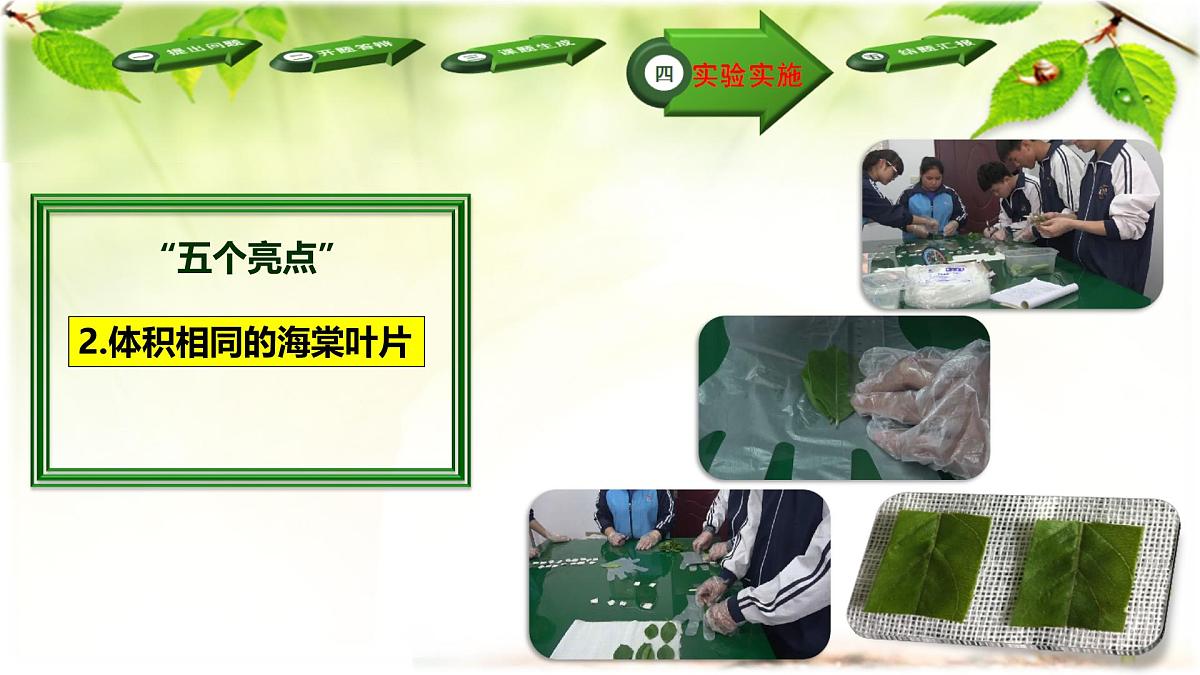 人教版 (新课标)高中生物必修3 5-3《生态系统的物质循环》(第2课时)课件第7页