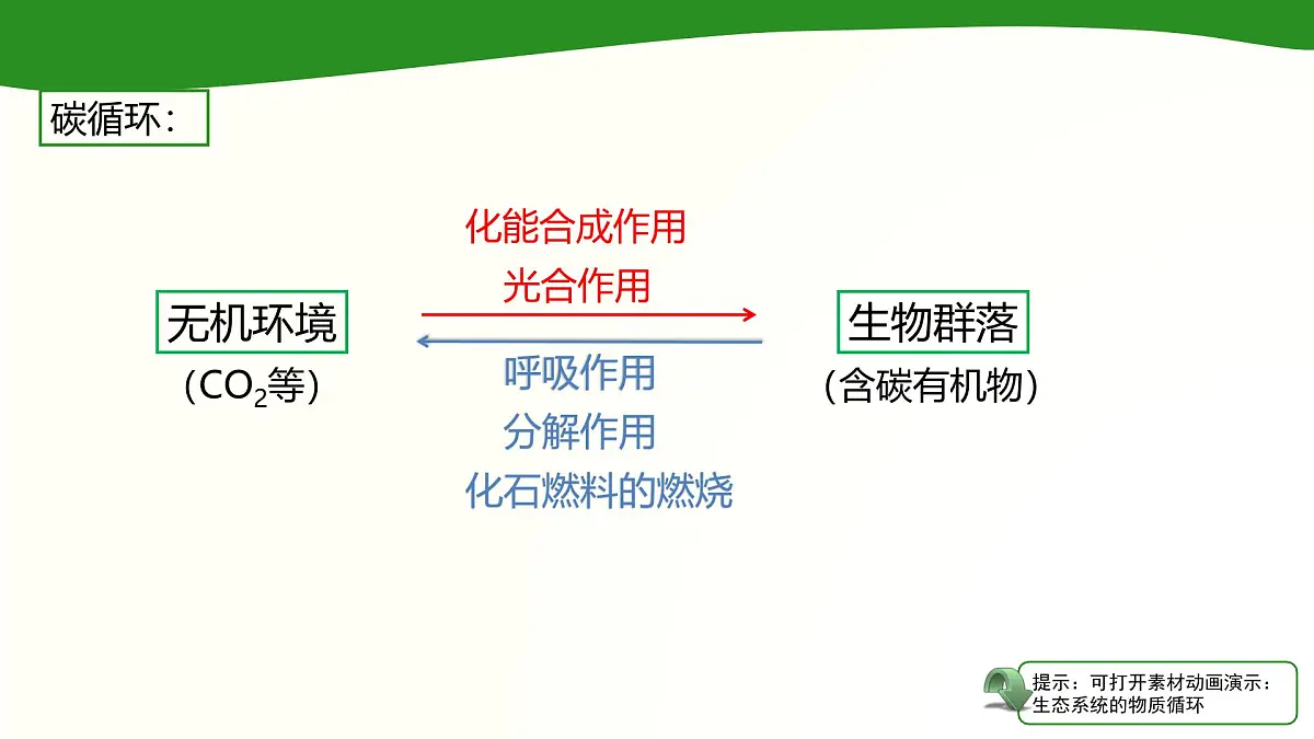 人教版 (新课标)高中生物必修3 5-3《生态系统的物质循环》课件第4页