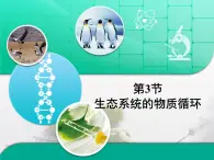 人教版 (新課標(biāo))高中生物必修3 5-3《生態(tài)系統(tǒng)的物質(zhì)循環(huán)》復(fù)習(xí)課件