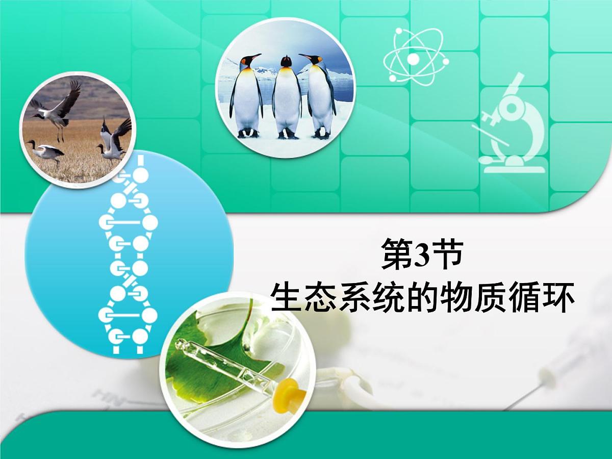 人教版 (新课标)高中生物必修3 5-3《生态系统的物质循环》复习课件第1页