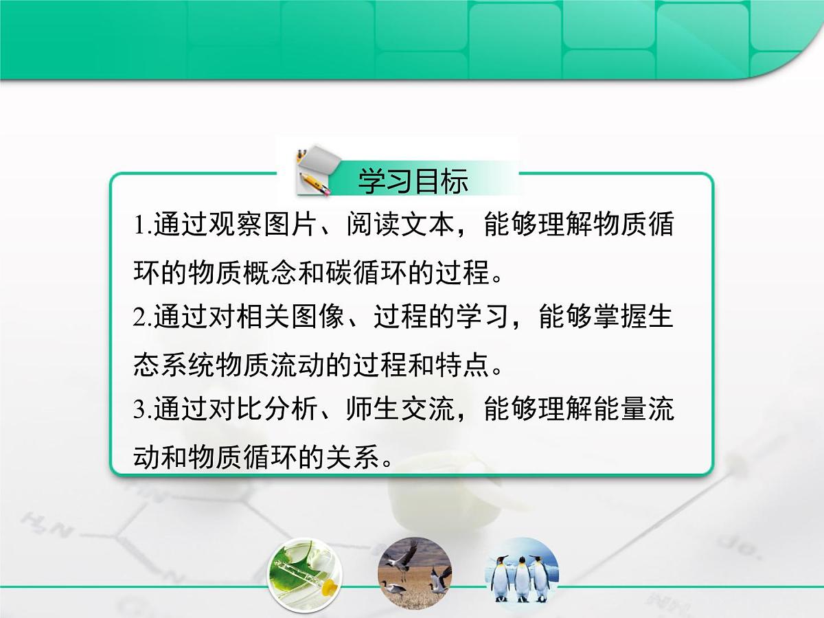 人教版 (新课标)高中生物必修3 5-3《生态系统的物质循环》复习课件第2页