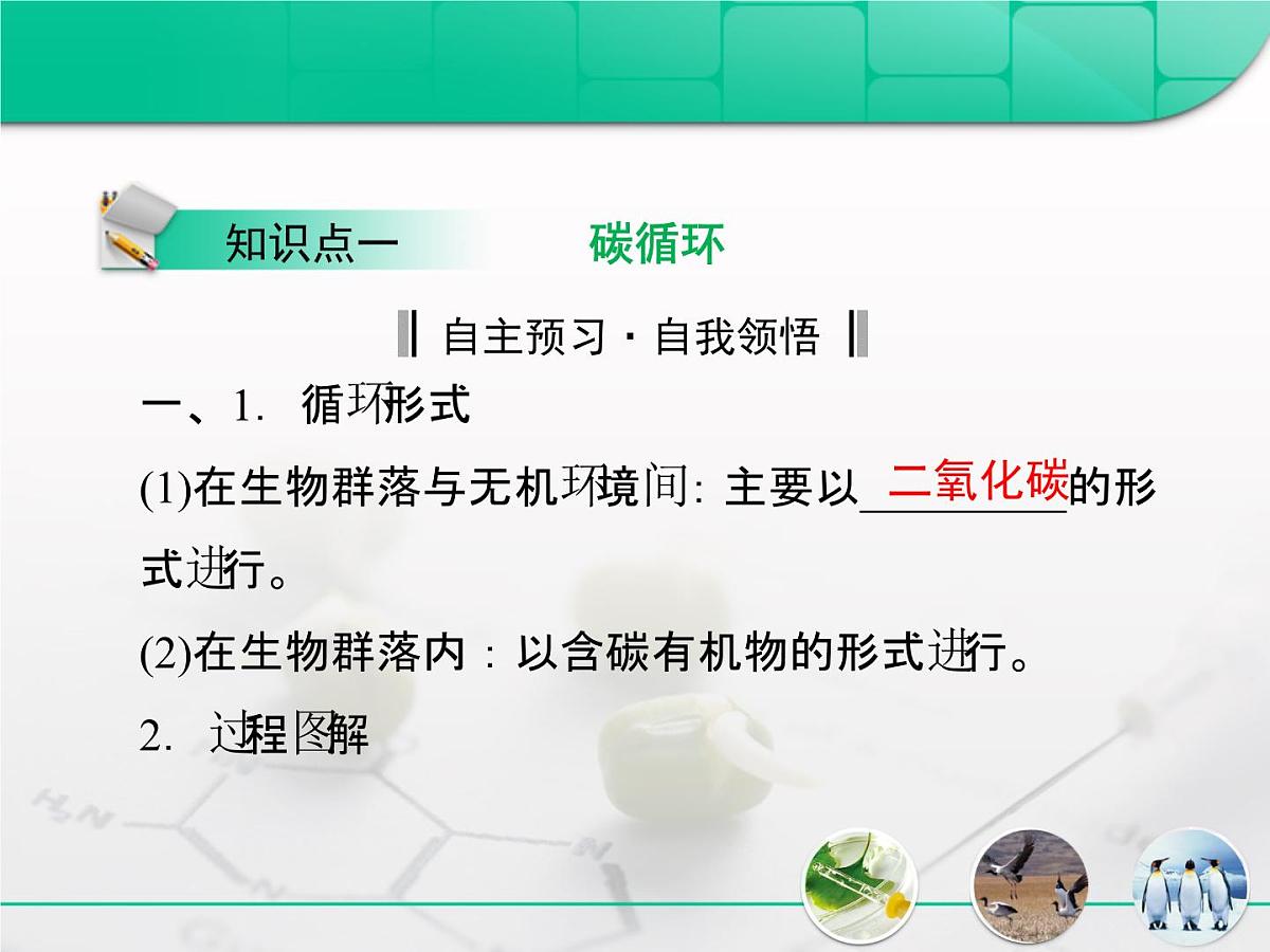 人教版 (新课标)高中生物必修3 5-3《生态系统的物质循环》复习课件第3页