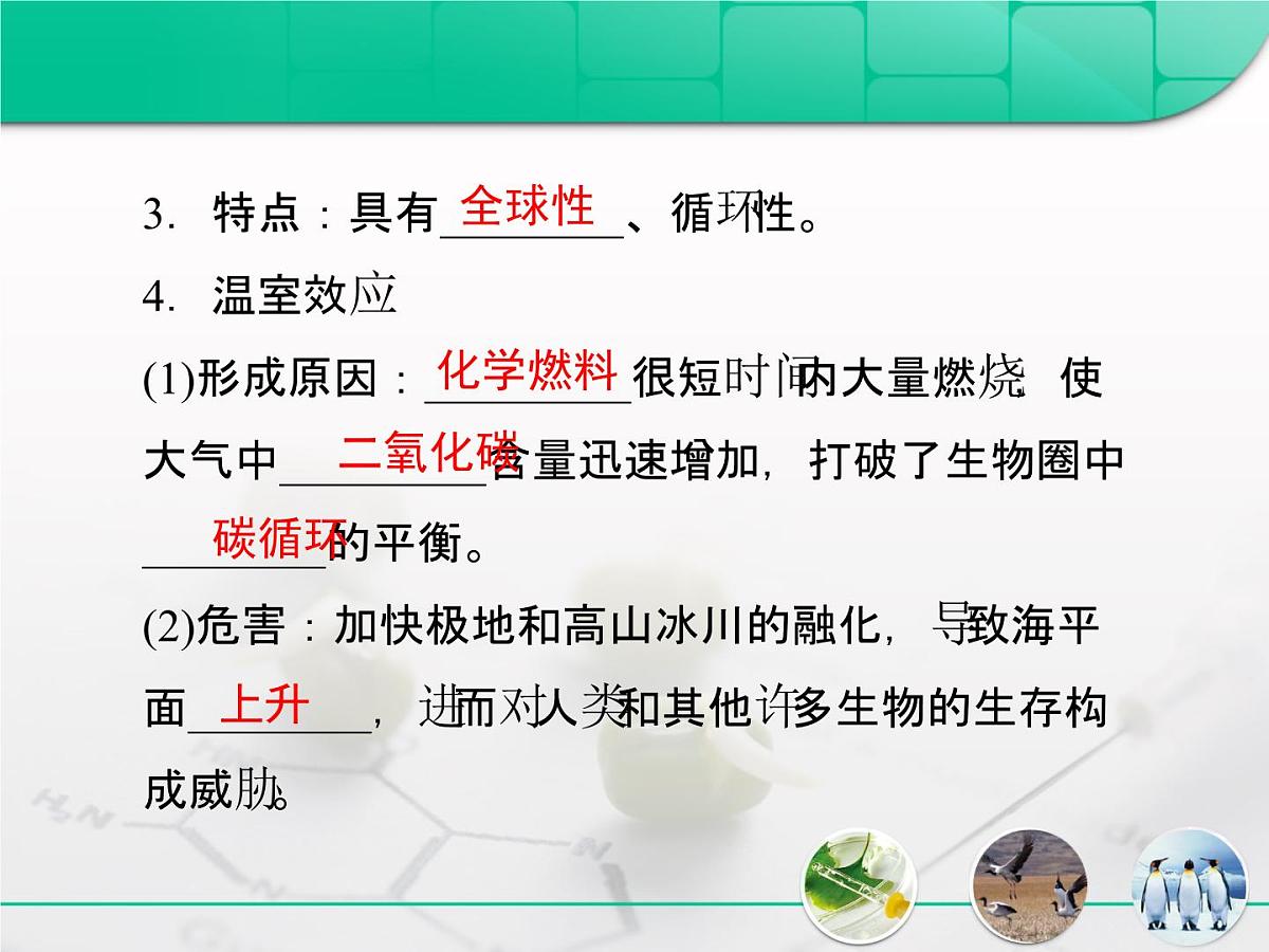 人教版 (新课标)高中生物必修3 5-3《生态系统的物质循环》复习课件第5页