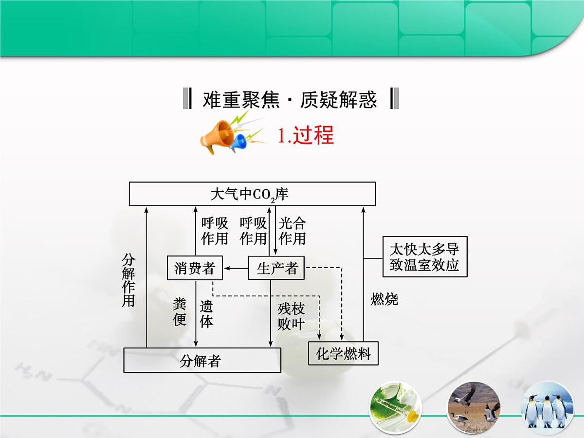 人教版 (新课标)高中生物必修3 5-3《生态系统的物质循环》复习课件第7页