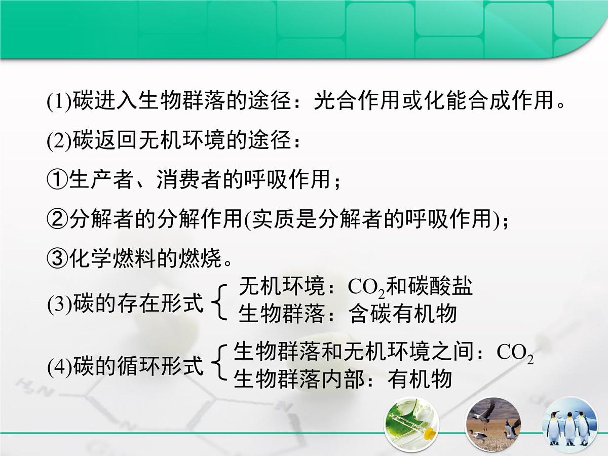 人教版 (新课标)高中生物必修3 5-3《生态系统的物质循环》复习课件第8页