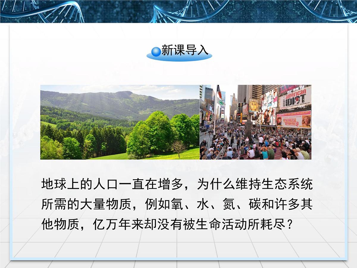 人教版 (新课标)高中生物必修3 5-3《生态系统的物质循环》课件第2页