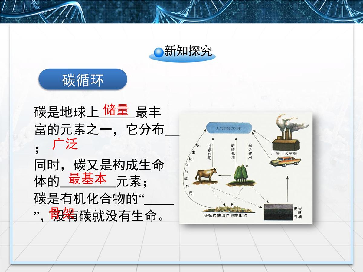 人教版 (新课标)高中生物必修3 5-3《生态系统的物质循环》课件第4页