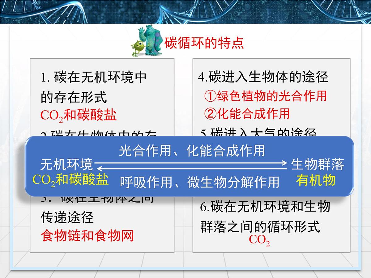 人教版 (新课标)高中生物必修3 5-3《生态系统的物质循环》课件第5页