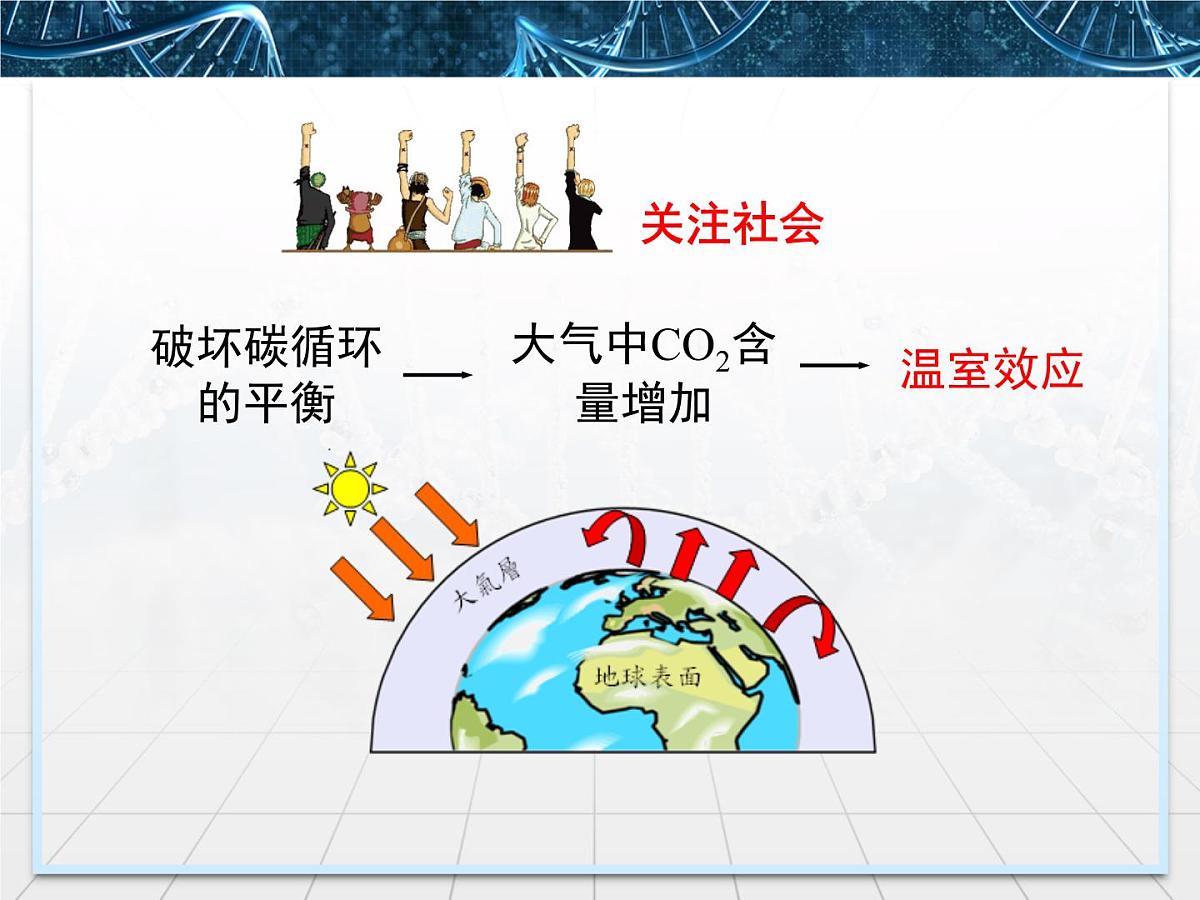 人教版 (新课标)高中生物必修3 5-3《生态系统的物质循环》课件第8页