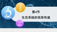 高中生物人教版 (新课标)必修3《稳态与环境》生态系统的信息传递课堂教学ppt课件