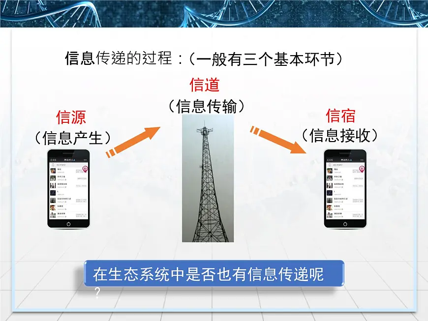 人教版 (新课标)高中生物必修3 5-4《生态系统的信息传递》课件第3页