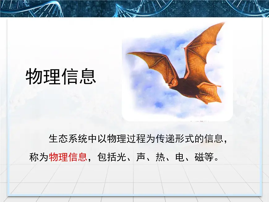 人教版 (新课标)高中生物必修3 5-4《生态系统的信息传递》课件第7页