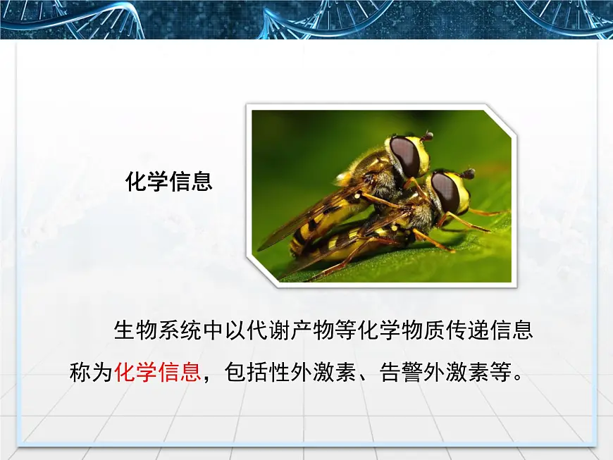 人教版 (新课标)高中生物必修3 5-4《生态系统的信息传递》课件第8页