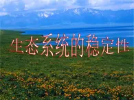 人教版 (新課標(biāo))高中生物必修3 5-5《生態(tài)系統(tǒng)的穩(wěn)定性》課件