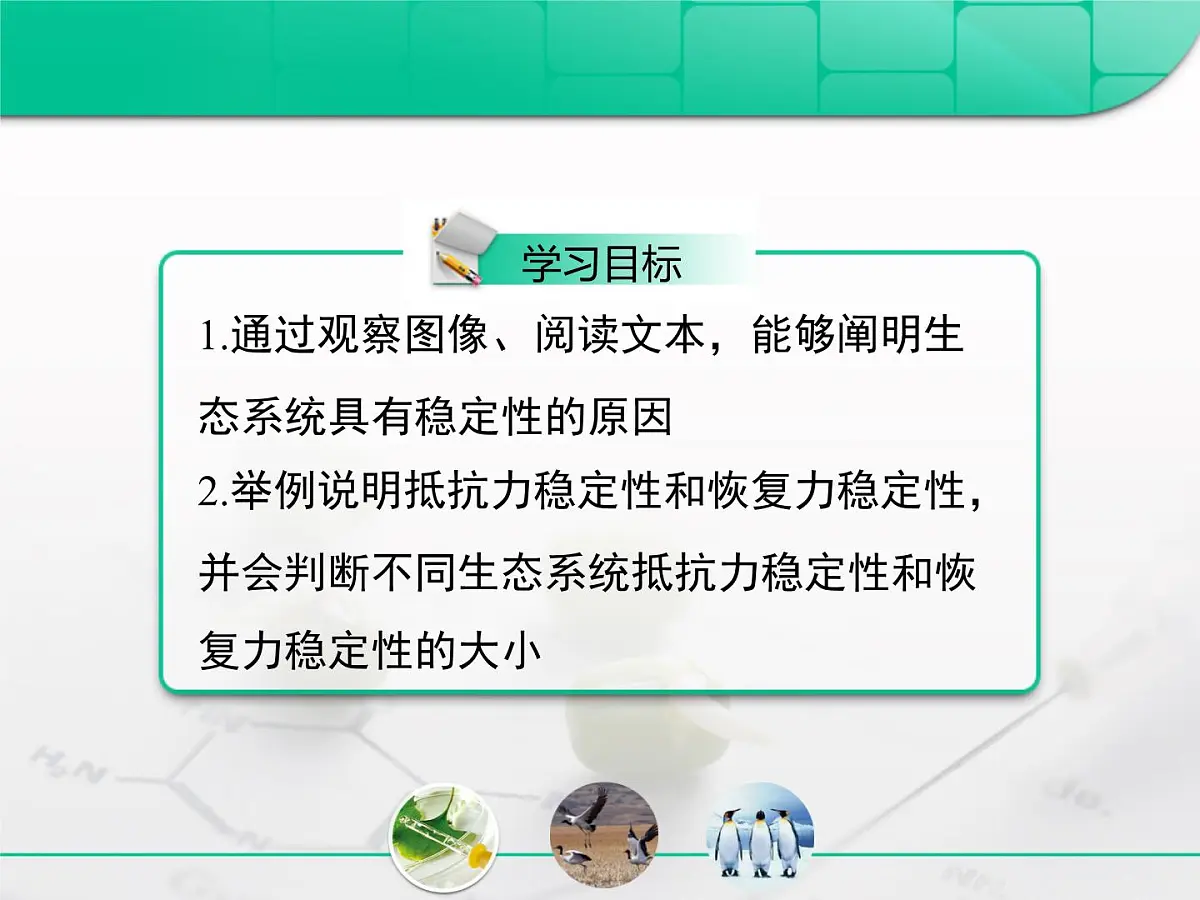 人教版 (新课标)高中生物必修3 5-5《生态系统的稳定性》课件第2页