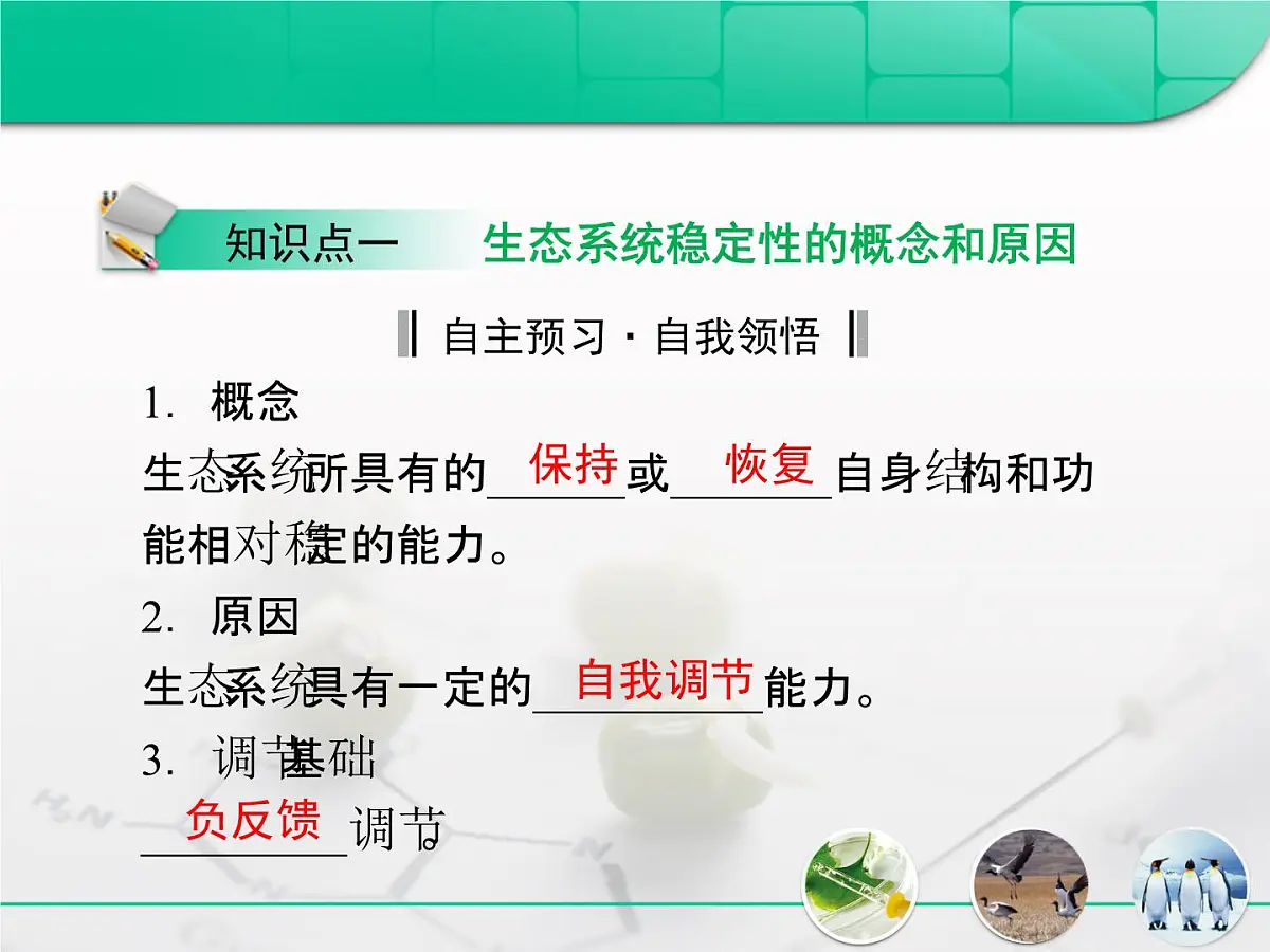 人教版 (新课标)高中生物必修3 5-5《生态系统的稳定性》课件第4页