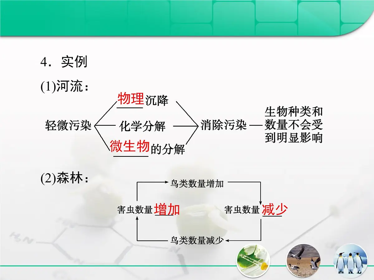 人教版 (新课标)高中生物必修3 5-5《生态系统的稳定性》课件第5页