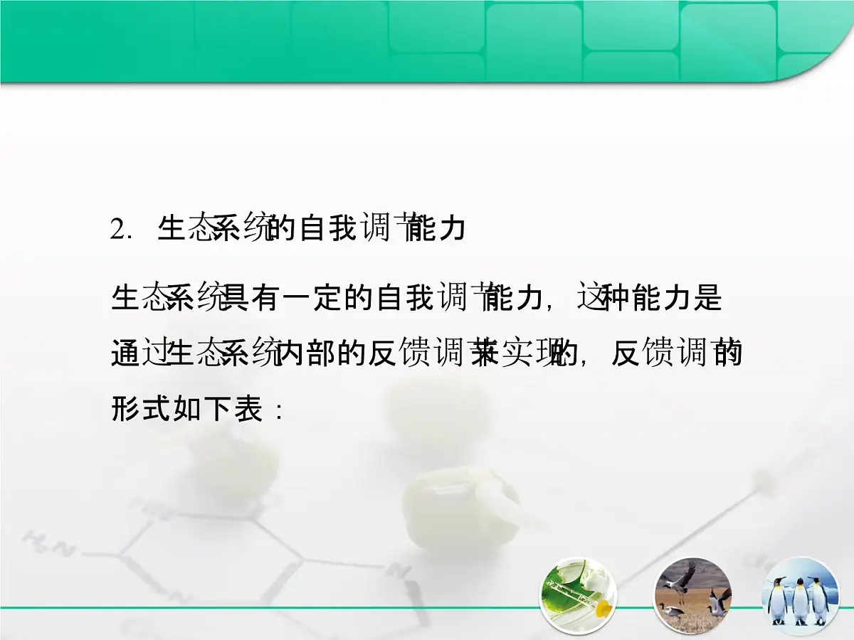 人教版 (新课标)高中生物必修3 5-5《生态系统的稳定性》课件第8页