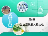 人教版 (新課標(biāo))高中生物必修3 第5章《生態(tài)系統(tǒng)及其穩(wěn)定性》總結(jié)復(fù)習(xí)課件