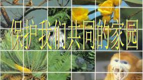 高中生物人教版 (新课标)必修3《稳态与环境》保护我们共同的家园说课ppt课件
