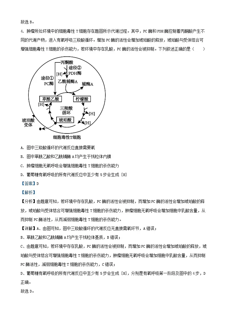安徽省六安市金安区2024_2025学年高三生物上学期11月月考试题含解析第3页