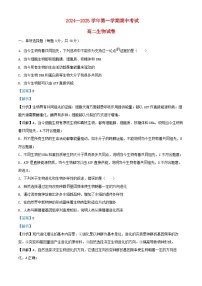 安徽省芜湖市2024_2025学年高二生物上学期期中试题含解析