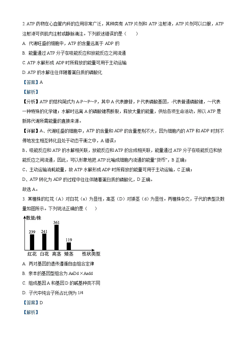 内蒙古自治区赤峰市多校联考2024_2025学年高三生物上学期10月月考试题含解析第2页