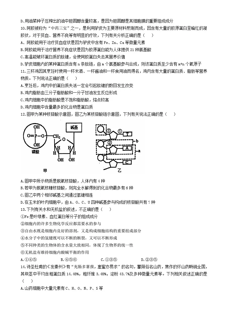 湖北省十堰市2024_2025学年高一生物上学期11月联考试题 (1)第3页