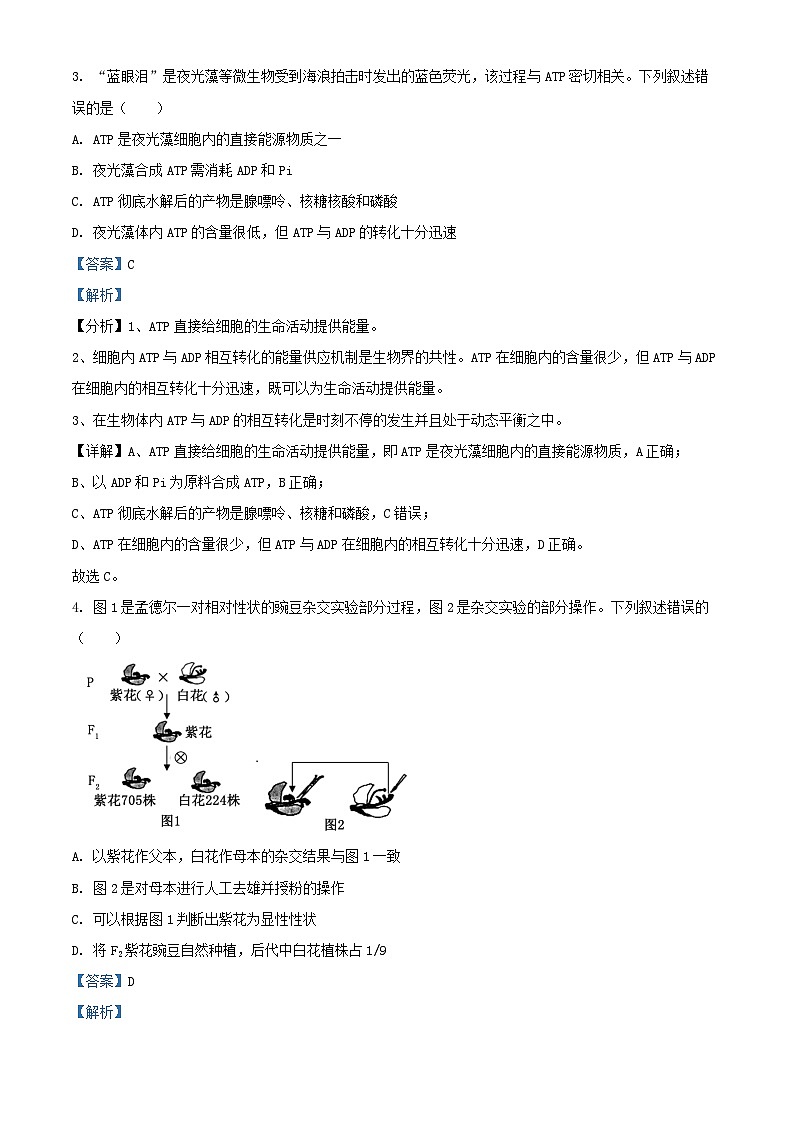 浙江省2024_2025学年高二生物上学期10月联考试卷含解析第2页