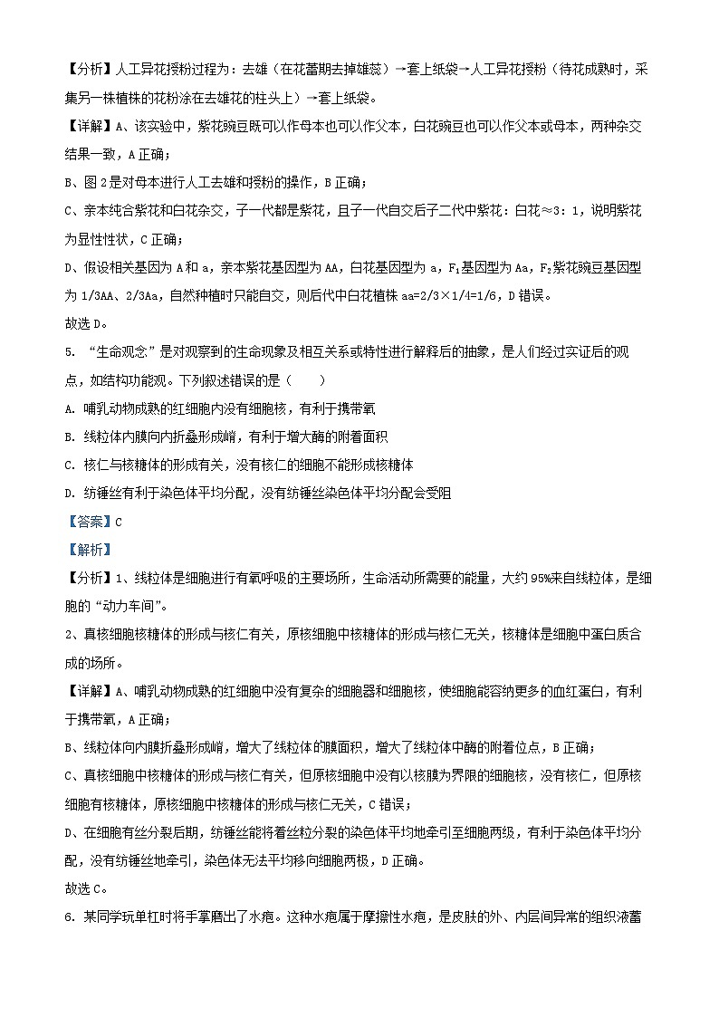 浙江省2024_2025学年高二生物上学期10月联考试卷含解析第3页