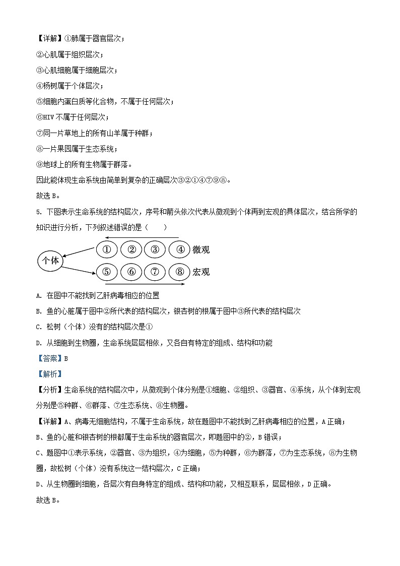 重庆市七校联考2024_2025学年高一生物上学期第一次月考试题含解析第3页