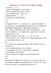湖北省武汉市2024_2025学年高一生物上学期第二次月考试题含解析
