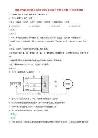 湖南省岳阳市岳阳县2024_2025学年高二生物上学期10月月考试题含解析