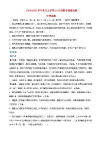 山东省临沂市临沭县2025届高三生物上学期10月阶段性教学质量检测试题含解析