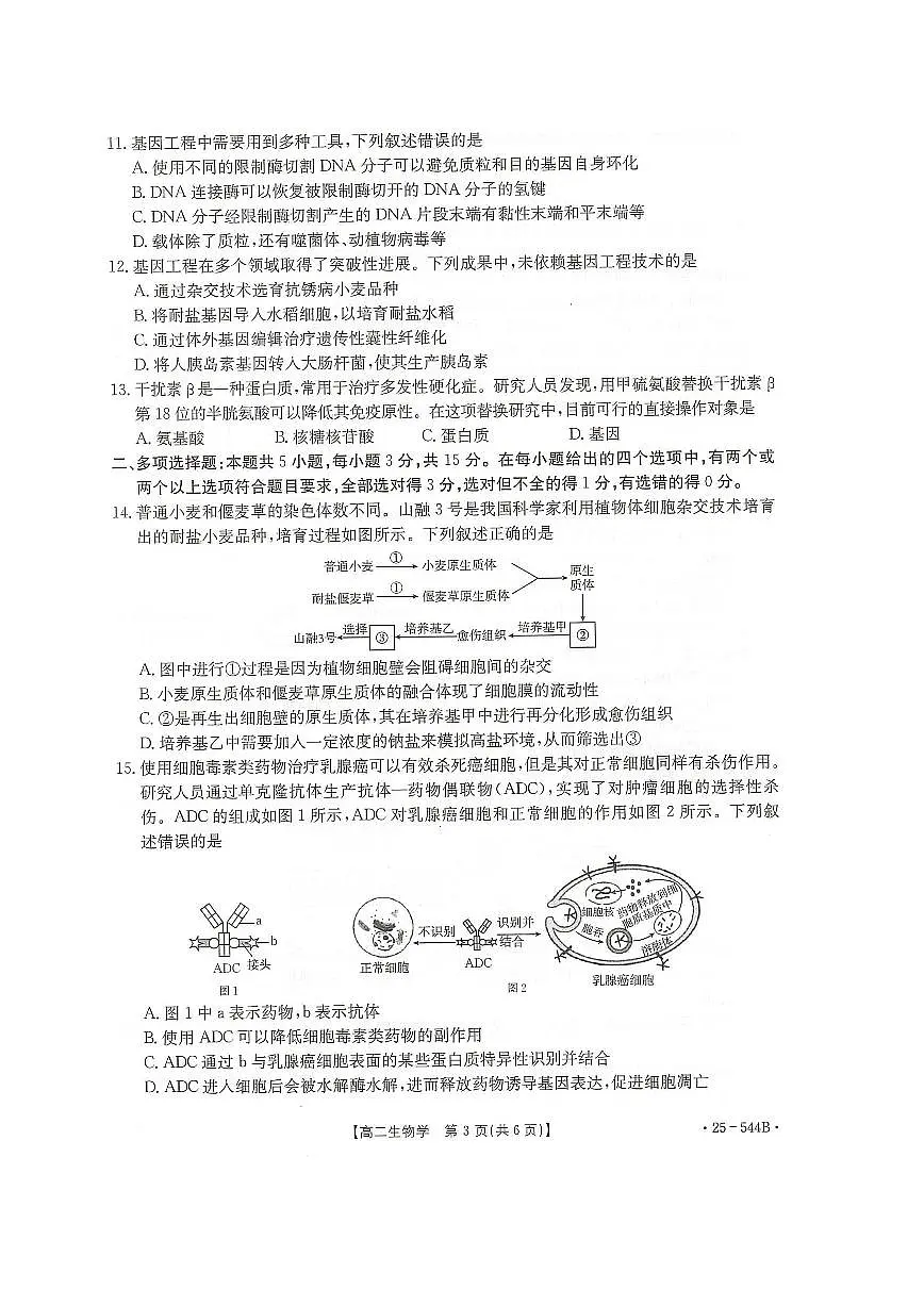 河北省邢台市卓越联盟2024-2025学年高二下学期第三次考试(6月)生物试卷(含答案).pdf第3页