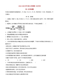 吉林省四平市2024_2025学年高二生物上学期10月月考试题
