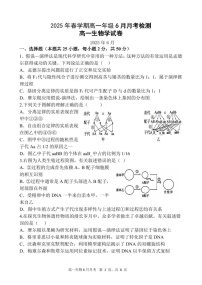 甘肃省张掖市2024-2025学年高一下学期6月月考生物试卷