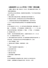 云南省普洱市2023-2024学年高一下学期7月期末生物试卷（解析版）
