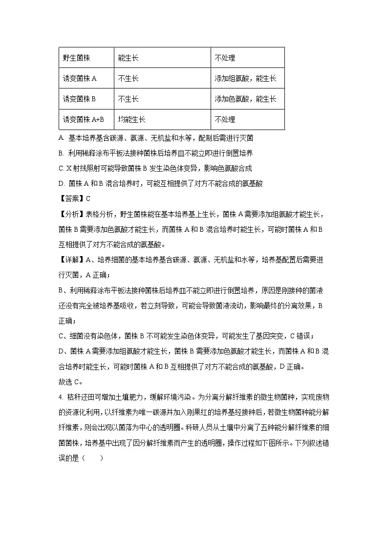 山东省滕州市2024-2025学年高二下学期3月月考生物试卷(解析版)第3页