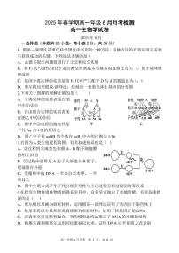 甘肃省张掖市某校2024-2025学年高一下学期6月月考生物试卷(PDF版附答案)
